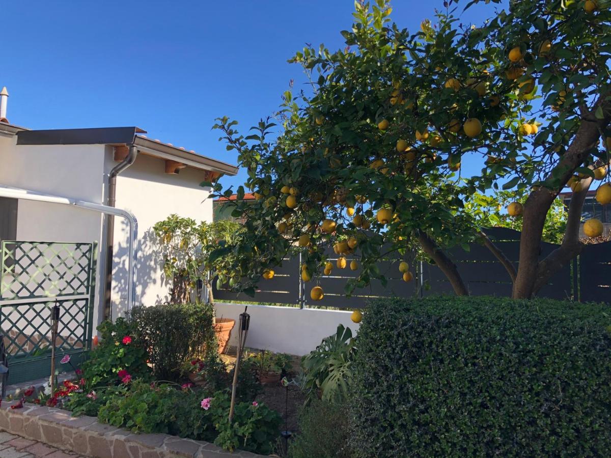 B&B Paolo E Daniela Carbonia Εξωτερικό φωτογραφία
